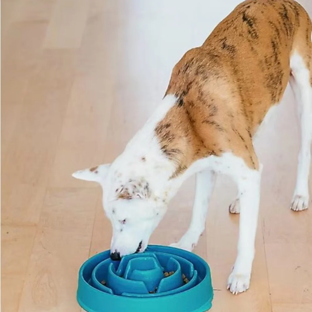 Outward Hound Teal Fun Feeder Dog Bowl